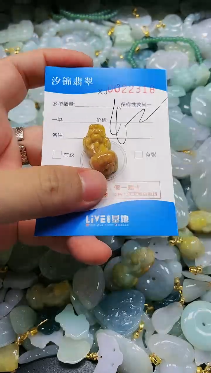 翡翠未镶嵌颈饰闪购商品0022318