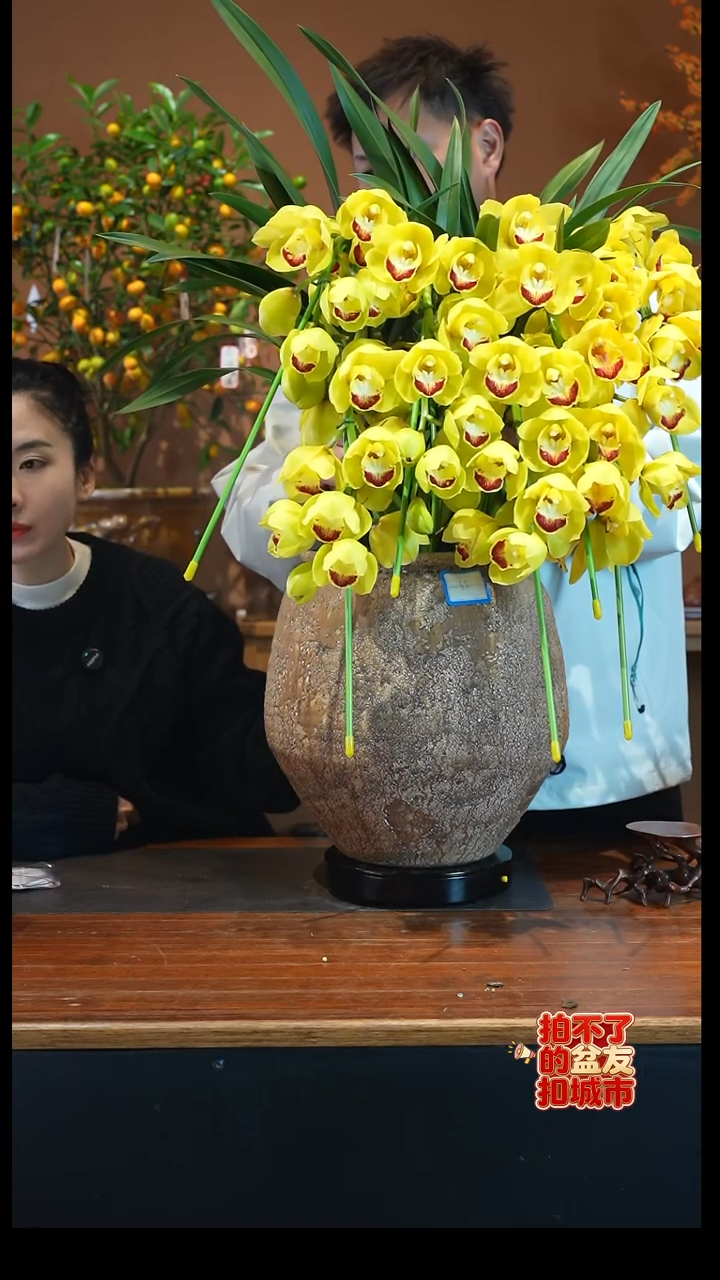 全部花朵黄金岁月土陶盆