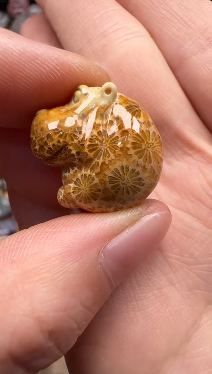 【闪购商品】硅化珊瑚（珊瑚玉）颈饰未镶嵌924