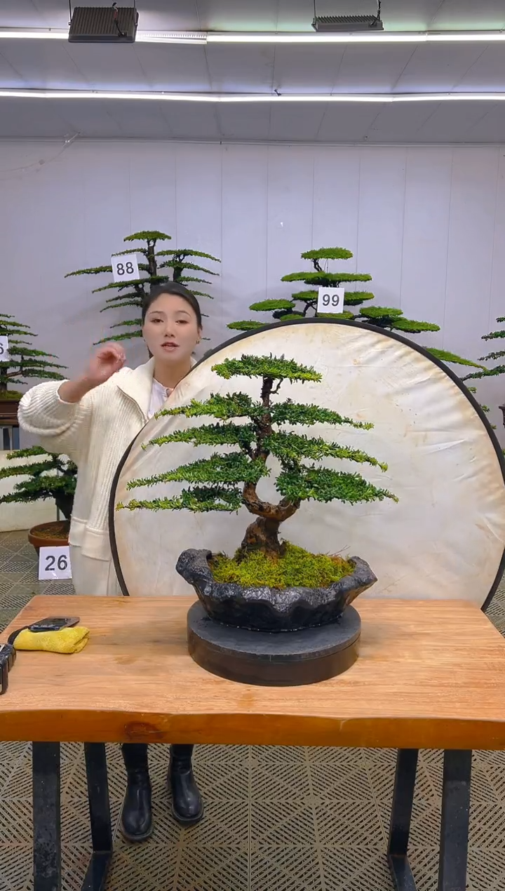无花朵一物一拍一物一拍