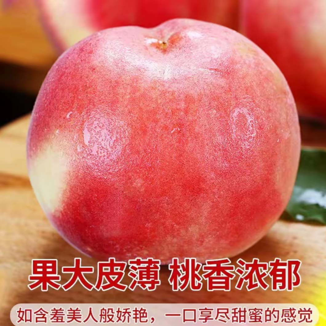 现货水蜜桃现摘当季水果桃时令水果脆甜水密桃AA