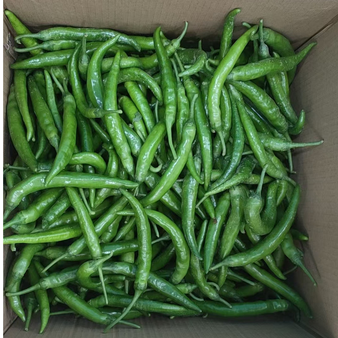 【邮政甄选】高安农家辣椒