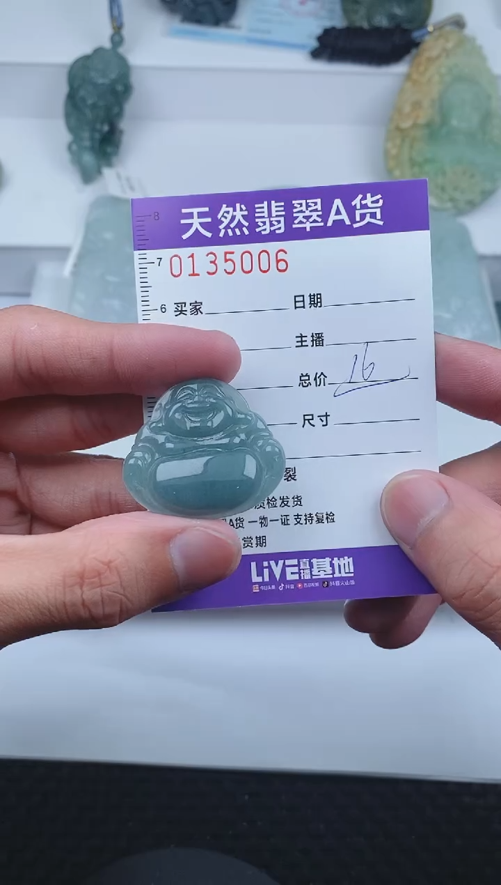 【闪购商品】翡翠颈饰未镶嵌       006