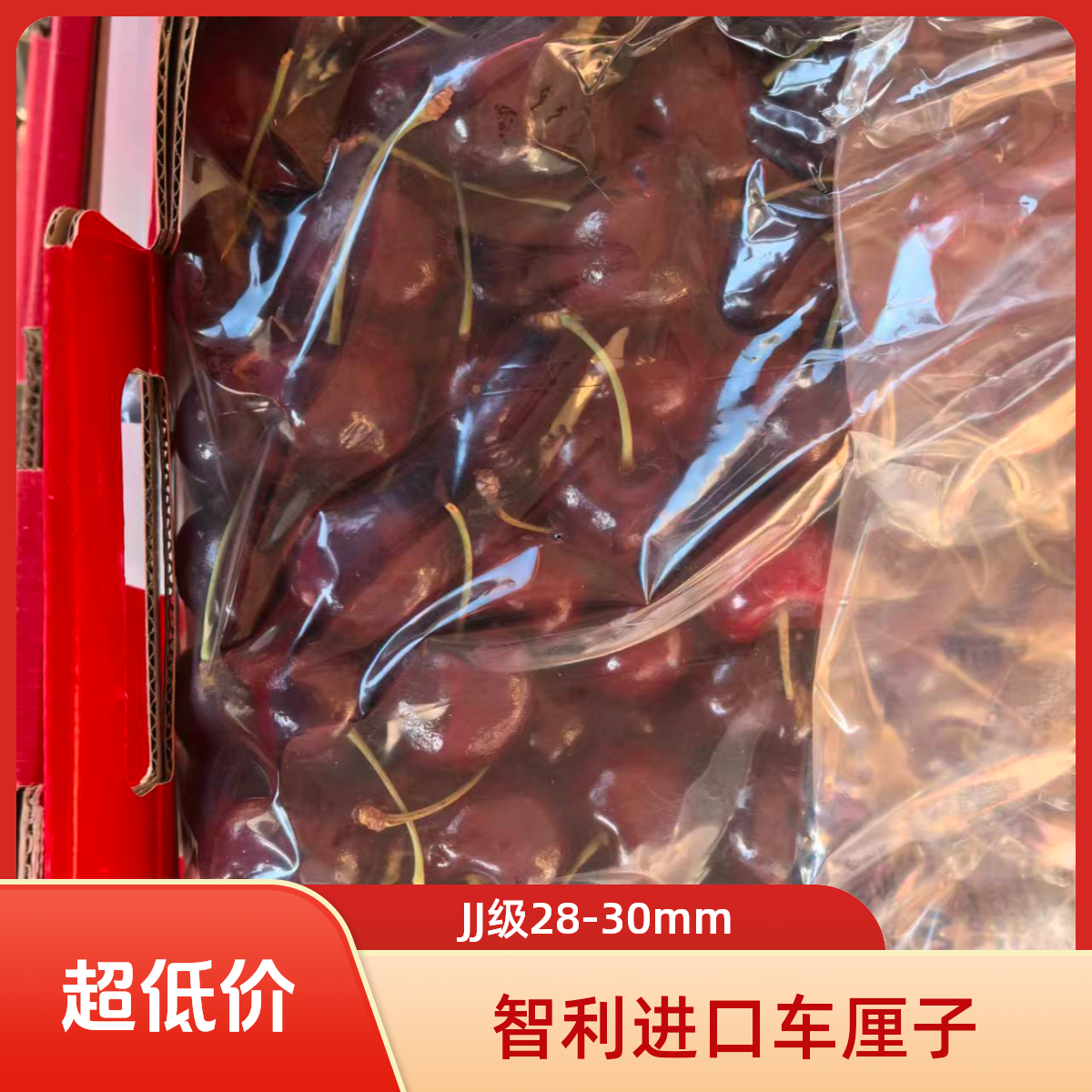 智利海运【桑蒂娜】5JD黑色进口车厘子5斤智利