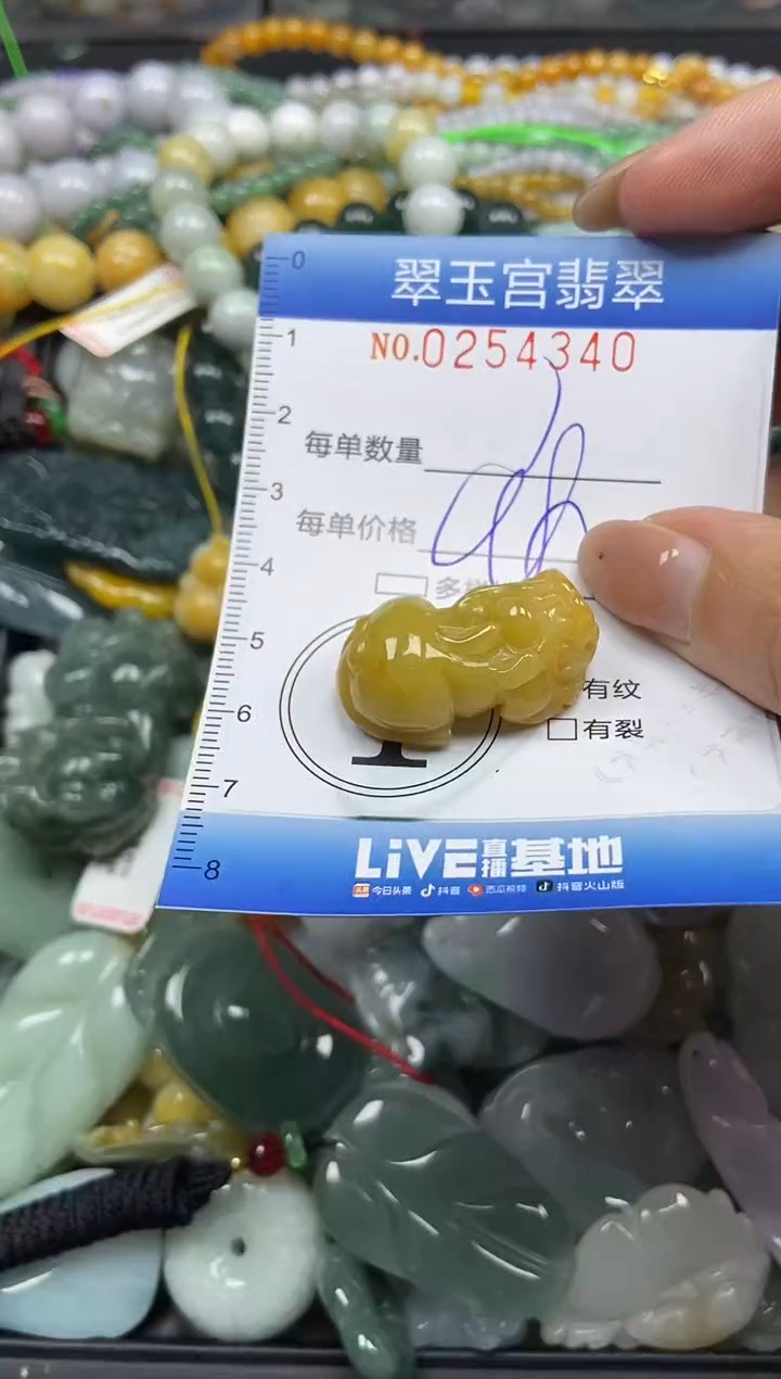 颈饰未镶嵌翡翠闪购C0254340