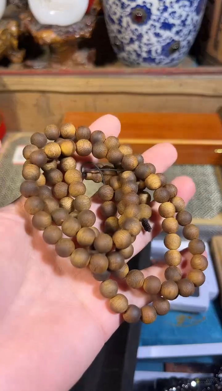 黄杨木11111111111111