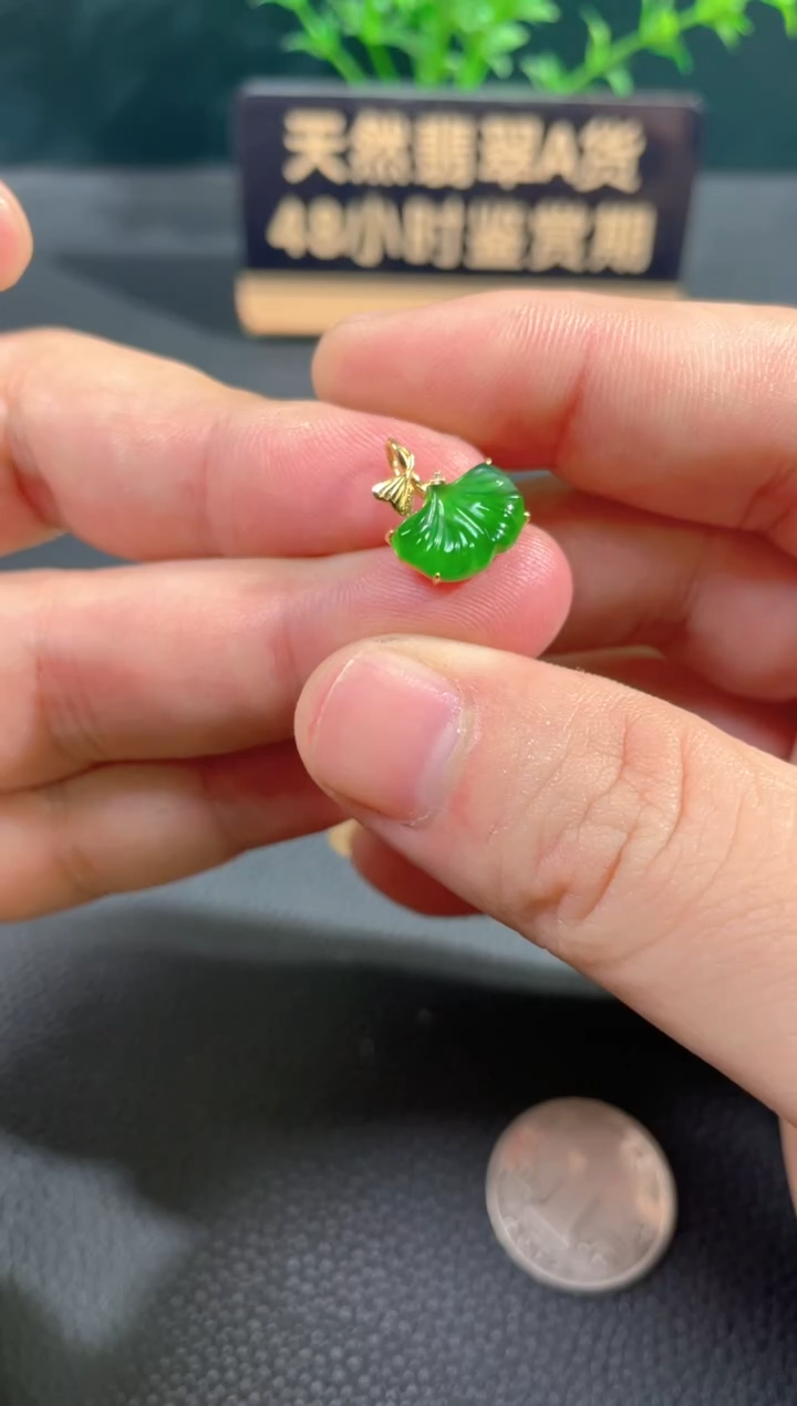 【闪购商品】翡翠颈饰18K金镶嵌翡翠