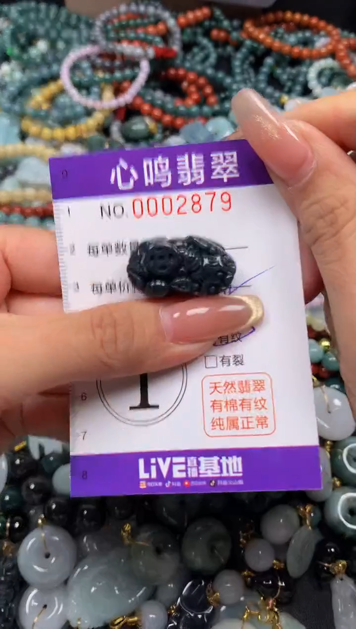 颈饰未镶嵌翡翠闪购002879