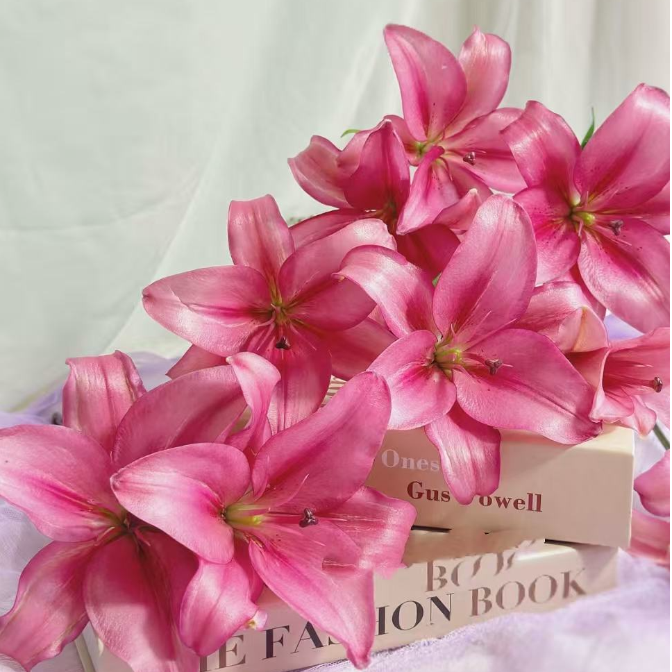 【陌上花开】多头紫霞仙子-亚百合（地域不同上色会有差异哦））