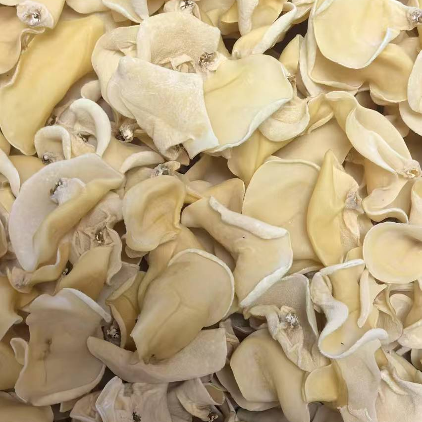 恩施高山 农家白玉耳净含量250克