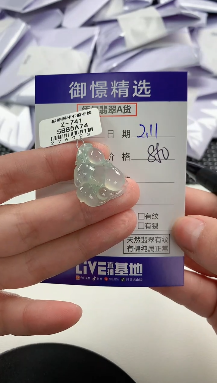 【闪购商品】翡翠颈饰未镶嵌43        