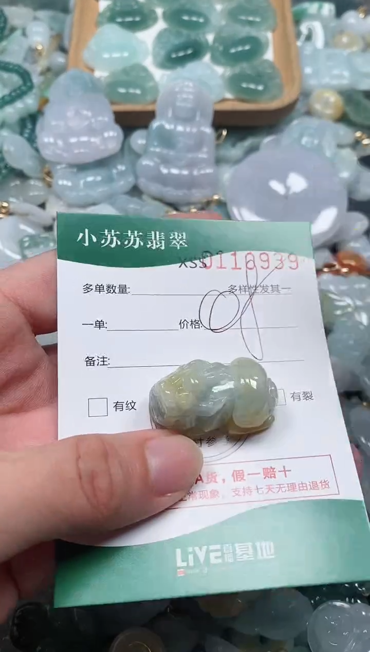 【闪购商品】翡翠颈饰未镶嵌闪购商品0110939