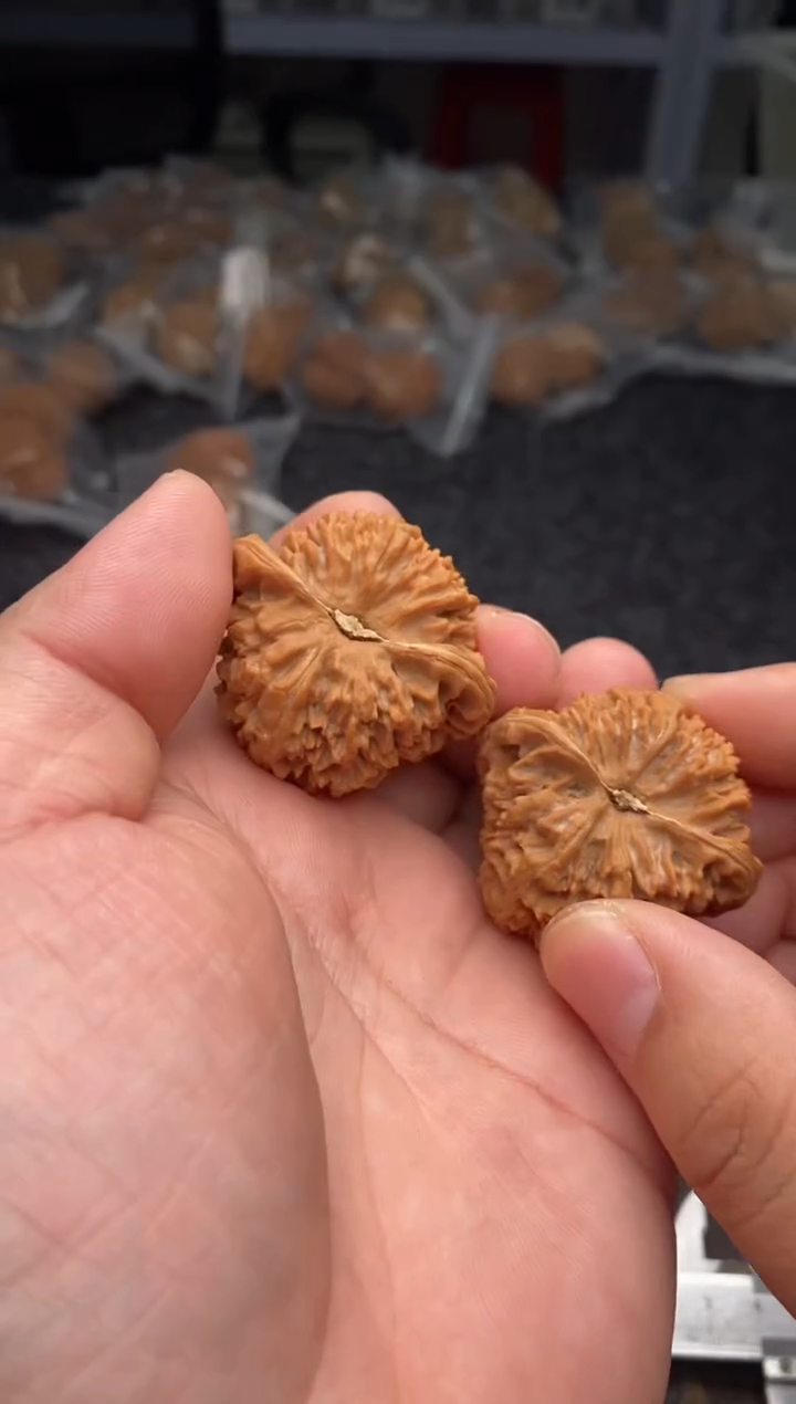 把件文玩核桃b124号42尺满天星