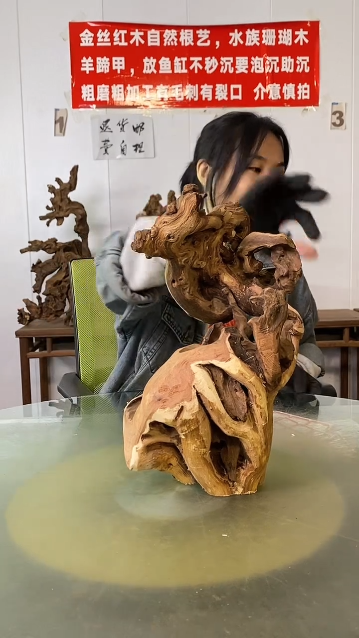 木瘾*、金丝红木 羊蹄甲