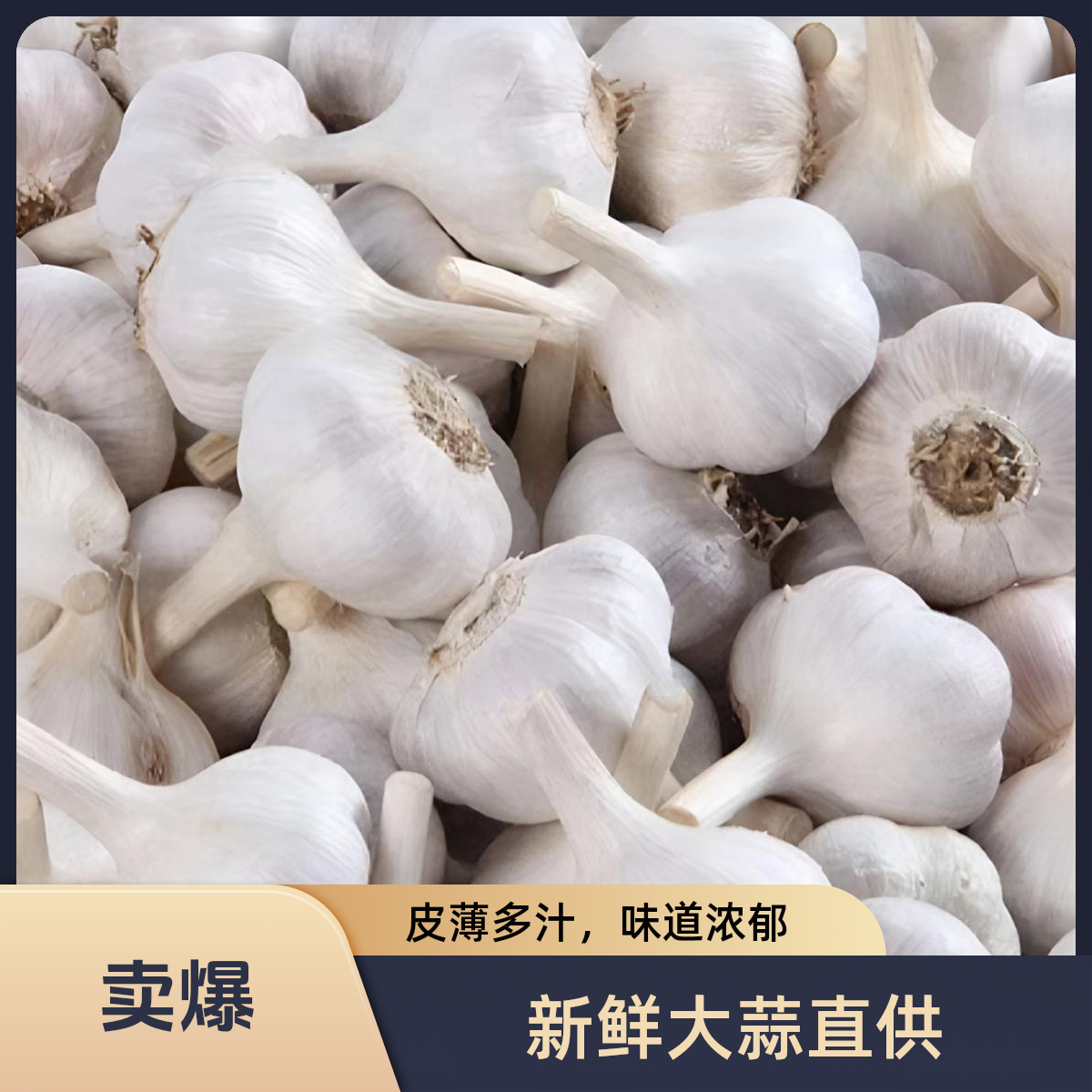 FH农家自种白皮干大蒜新鲜香辣可口果径适中净重五斤3cm左右