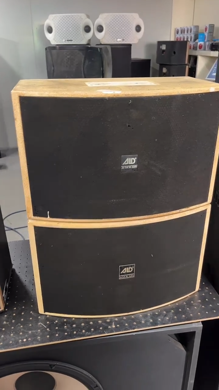 不包邮 10寸卡包音响 KTV音箱一对 外观不一样  运费到付