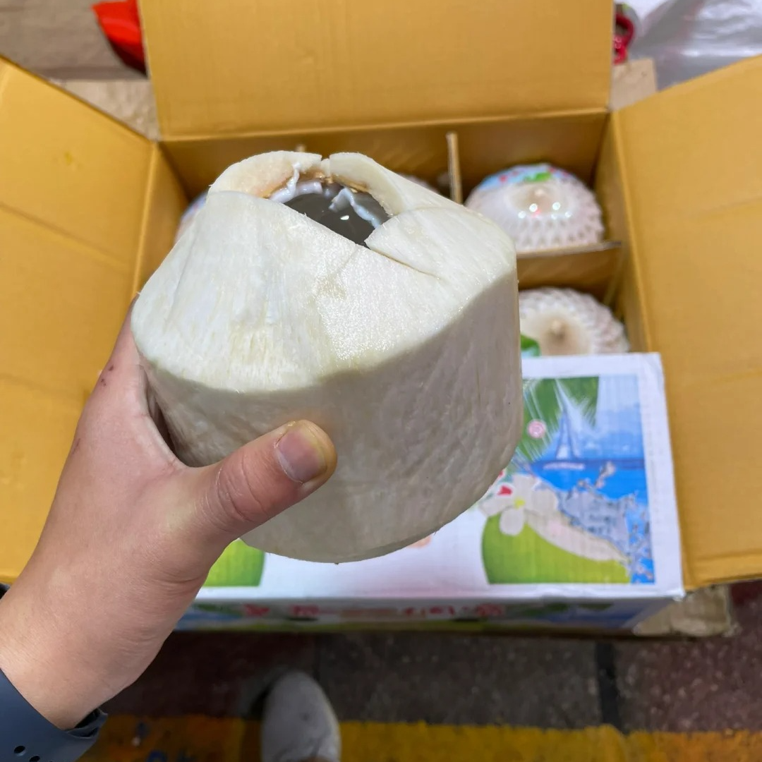 【整果】东泰一个宝椰青1个【可帮开需备注】