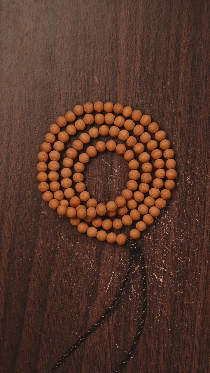 吊坠凤眼菩提S01酸枣核