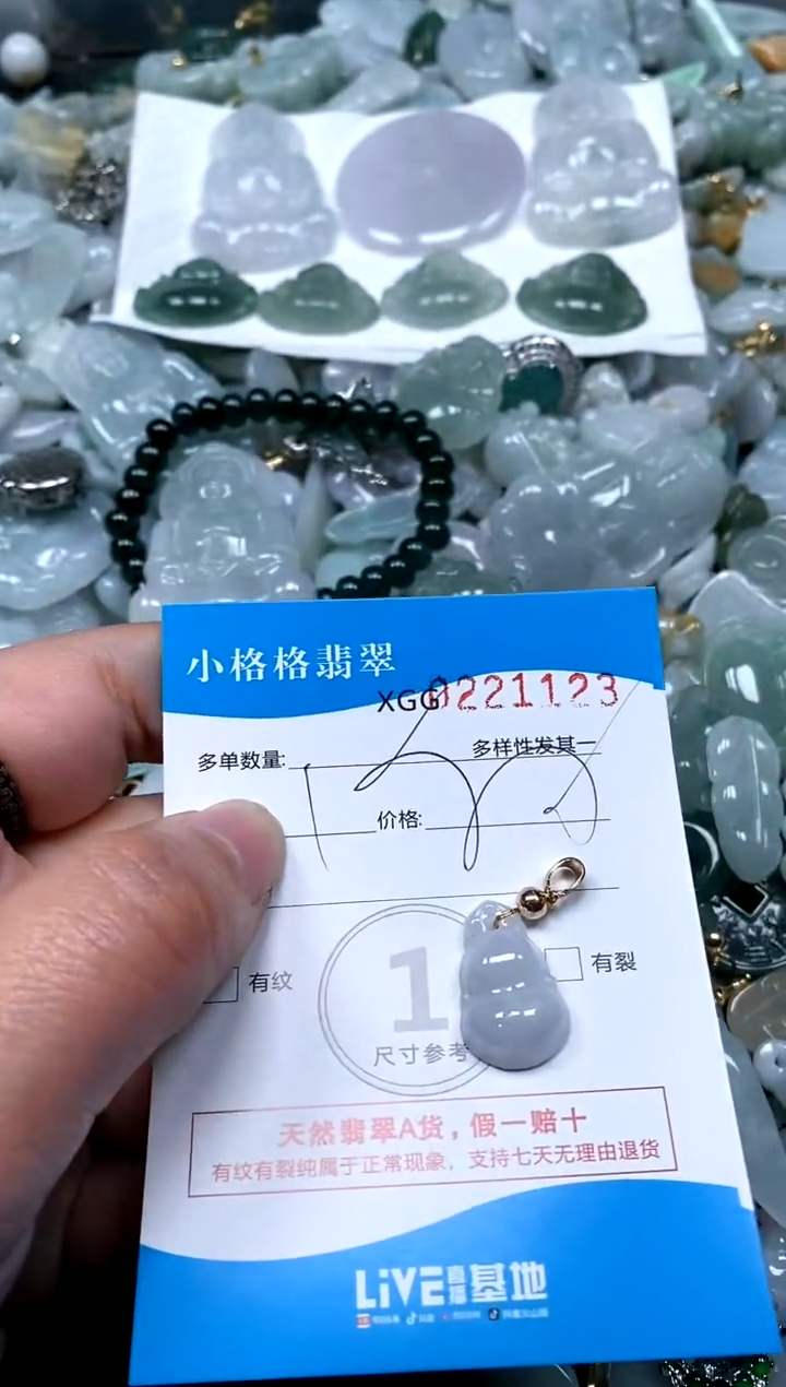 【闪购商品】翡翠颈饰未镶嵌闪购商品0221123