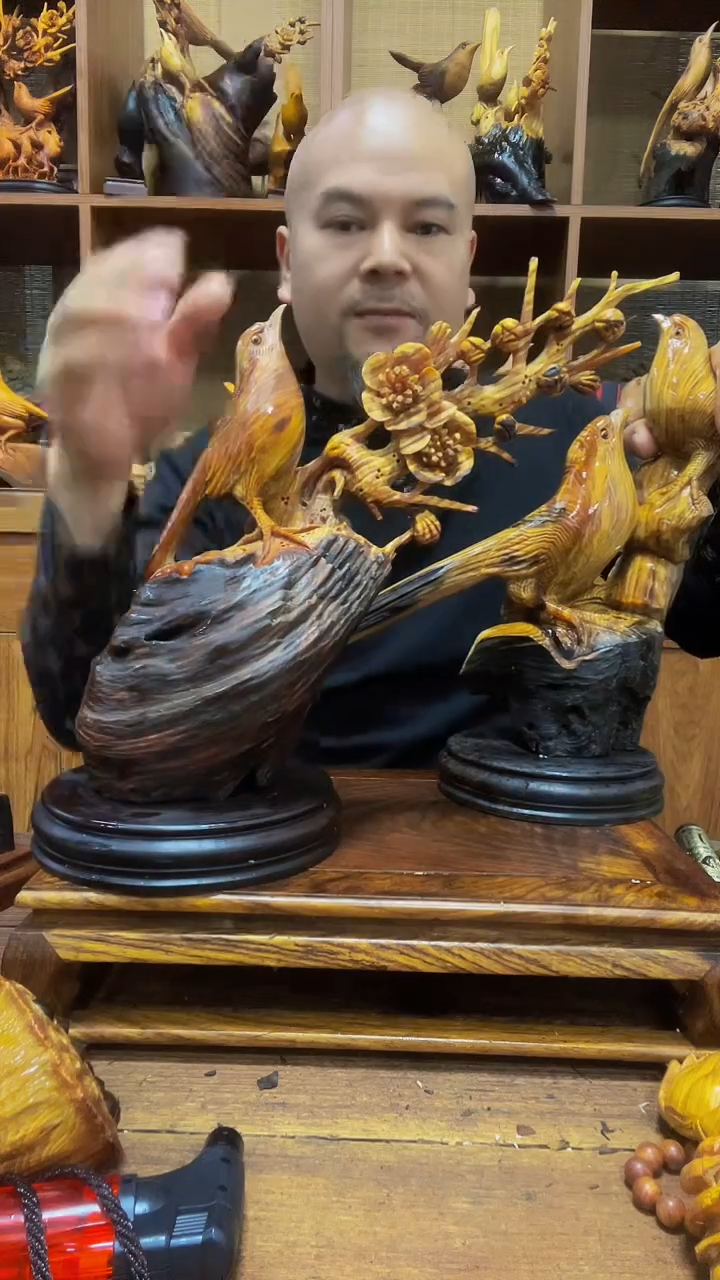 松木烨* 定向 烨辉