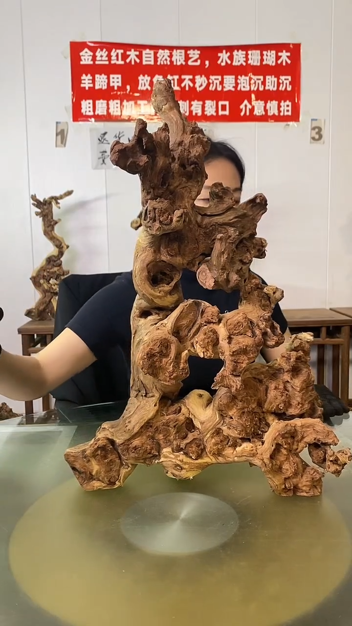 木理*金丝红木 羊蹄甲