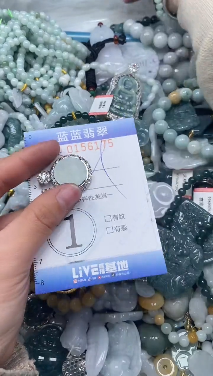 【闪购商品】翡翠颈饰未镶嵌闪购0156175