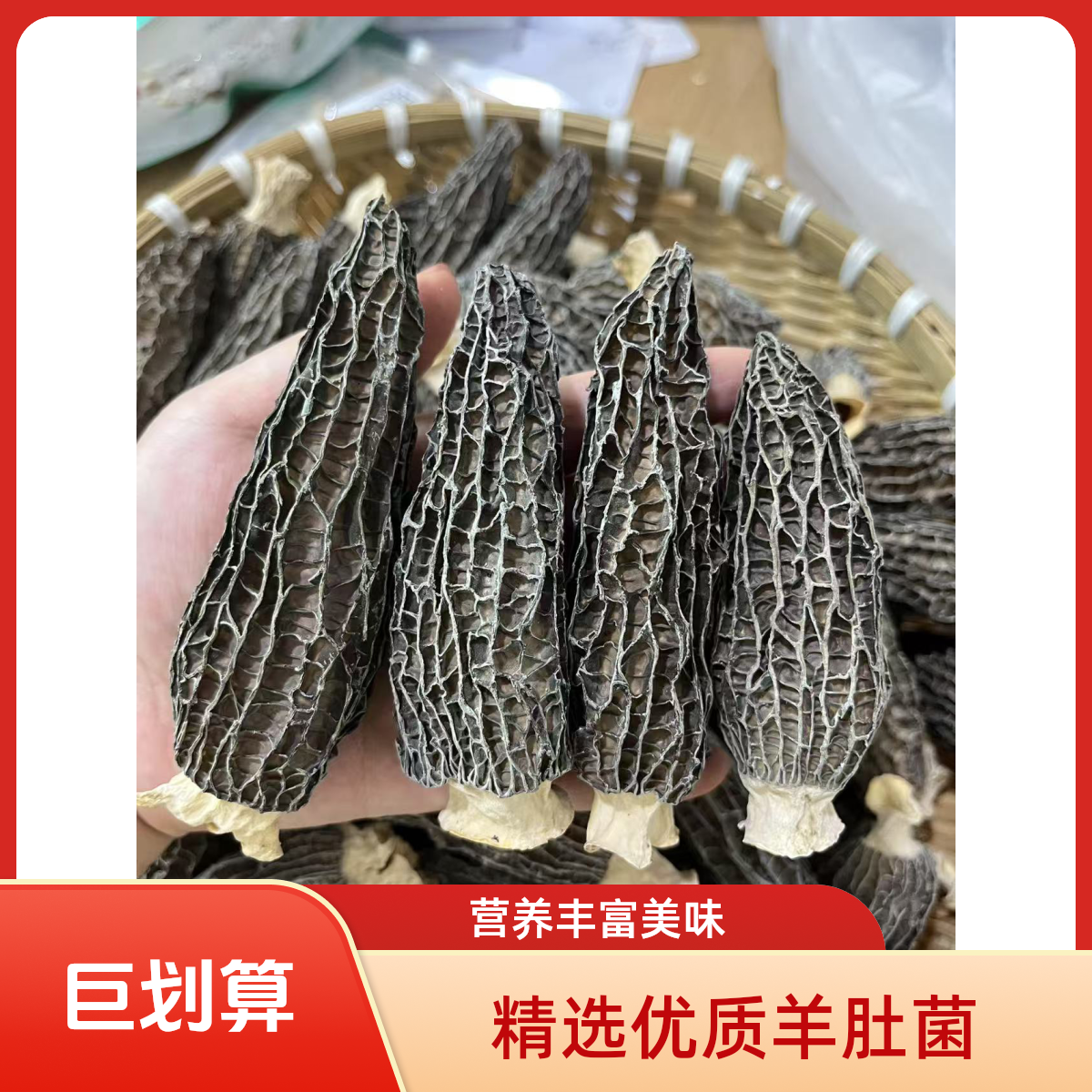 2025头茬统货4-9爆干货羊肚菌煲汤（捡漏款）