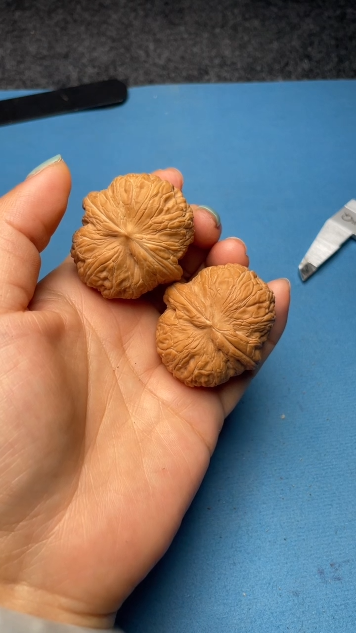 文玩核桃把件a114元宝41尺