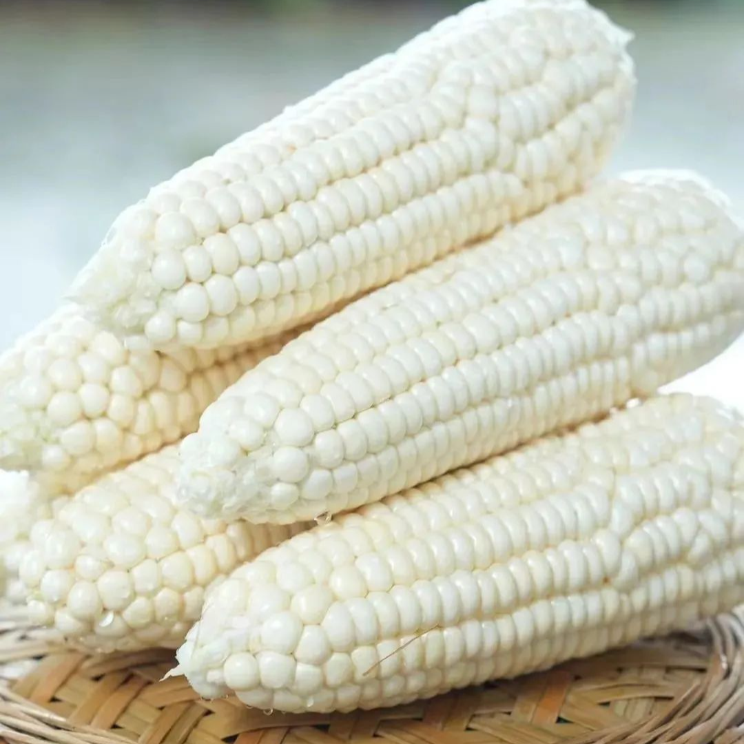 【带壳糯玉米】3kg昆明送货上门