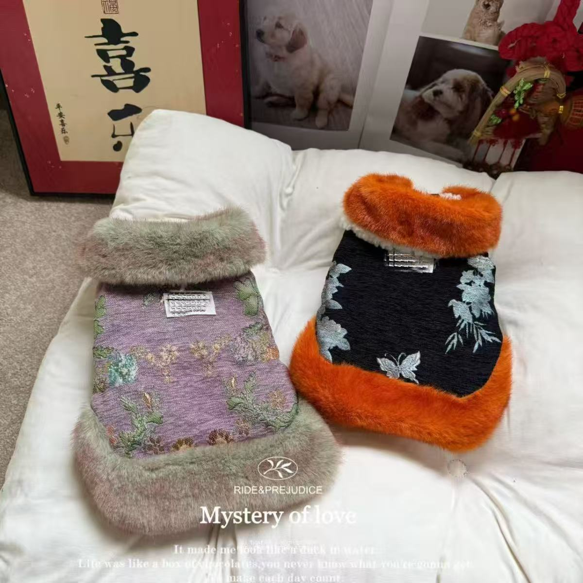 宠物衣服秋冬新款新中式过年裙子狗狗猫咪加厚拜年唐装