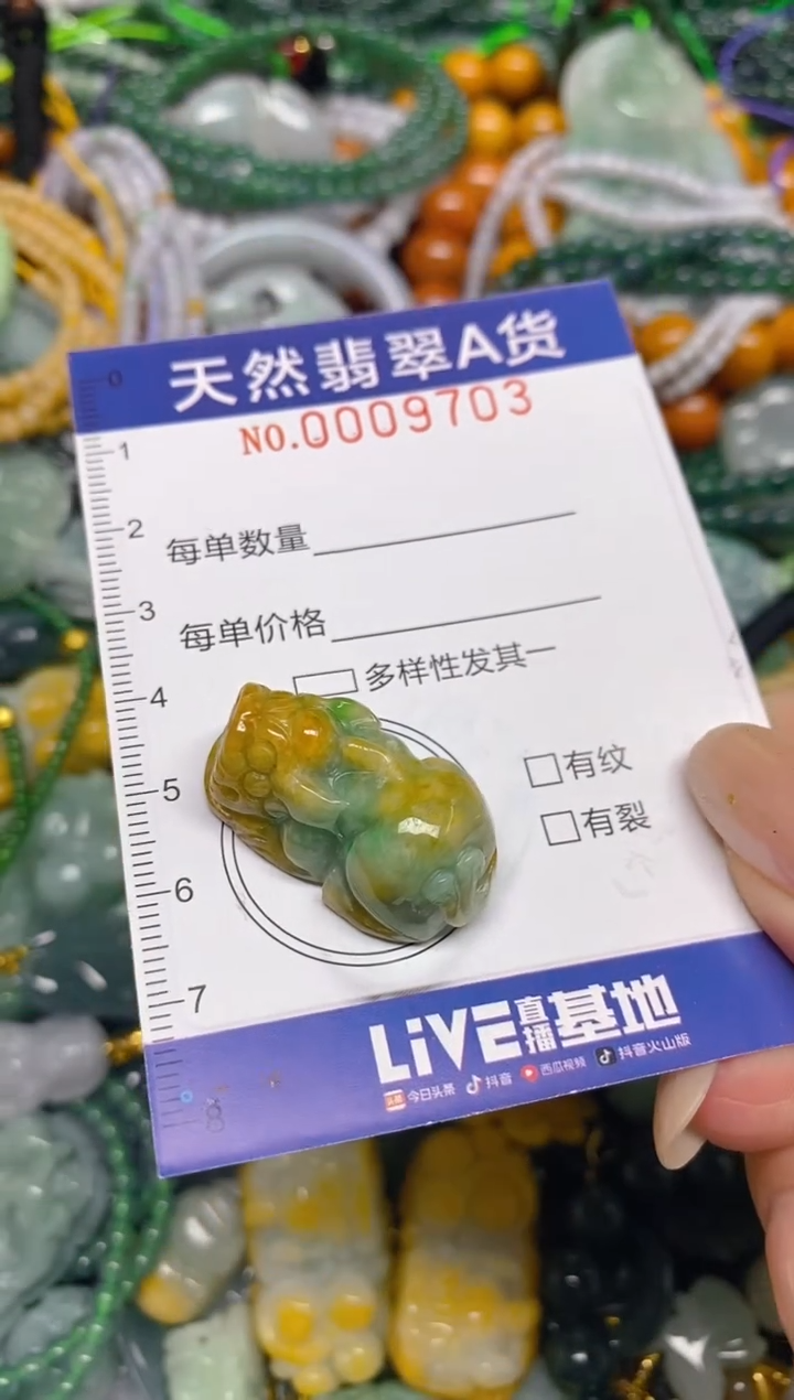 颈饰未镶嵌翡翠闪购0009603