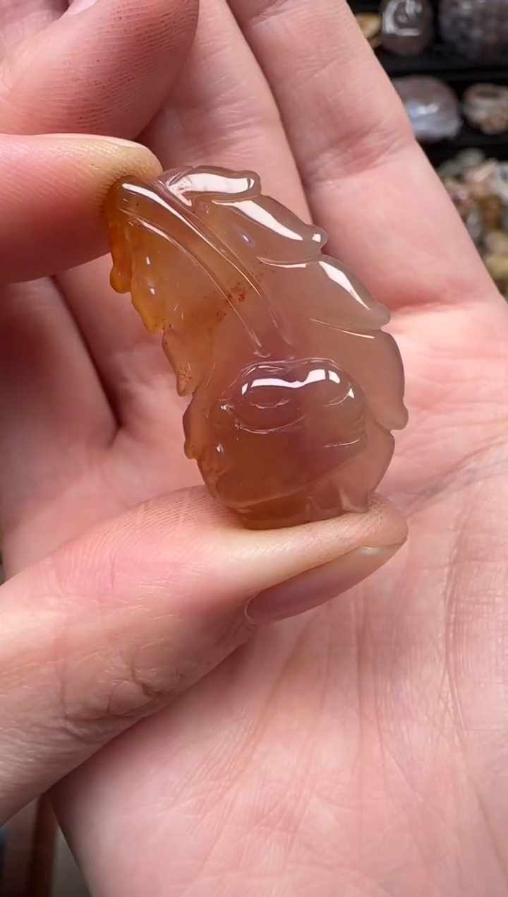 颈饰未镶嵌硅化珊瑚（珊瑚玉）240