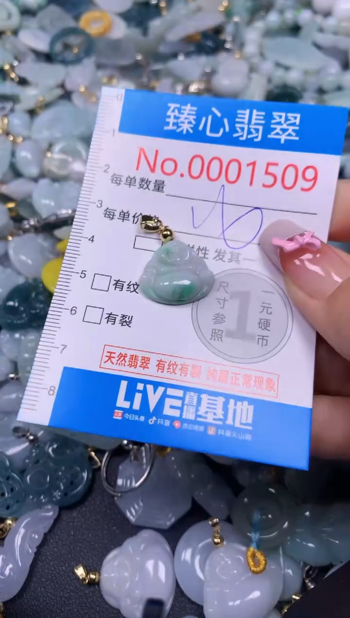 【闪购商品】翡翠颈饰未镶嵌含绳0001509