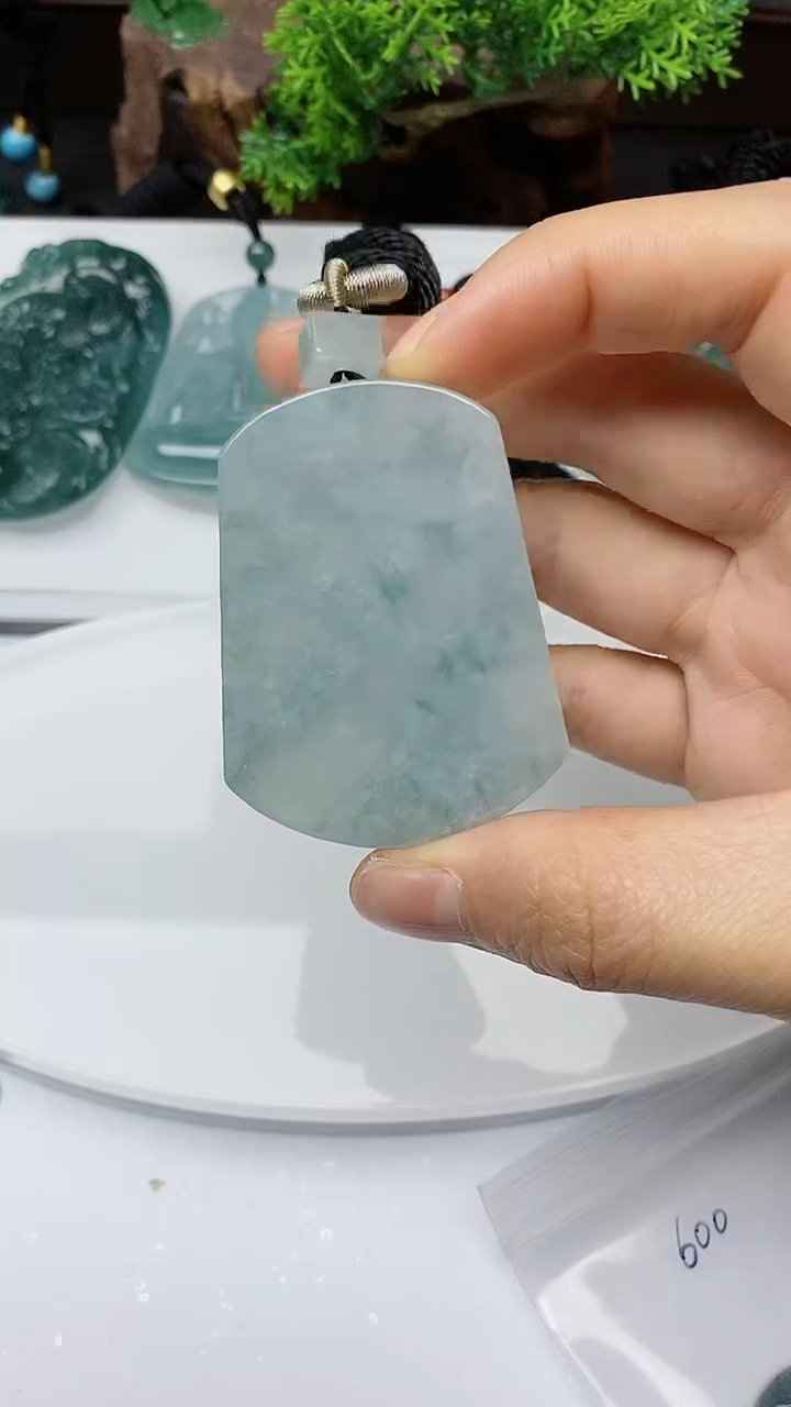 【闪购商品】翡翠颈饰未镶嵌