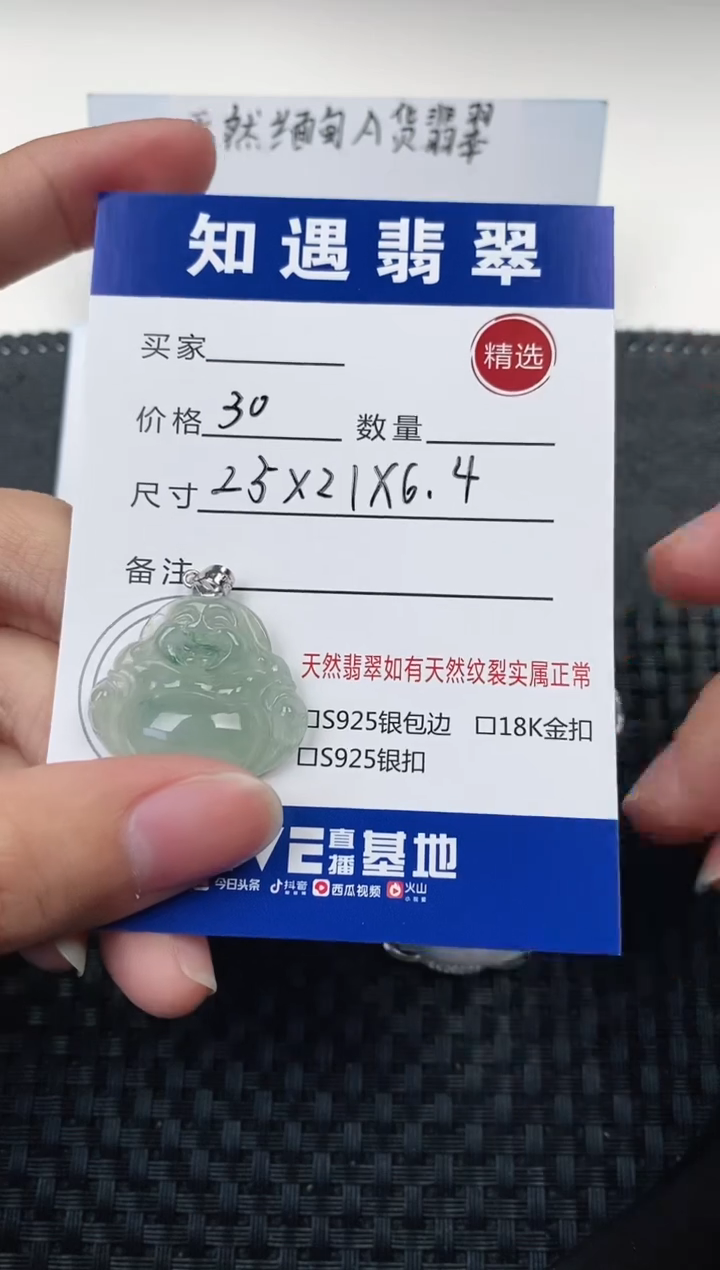 翡翠银S925镶嵌颈饰挂件