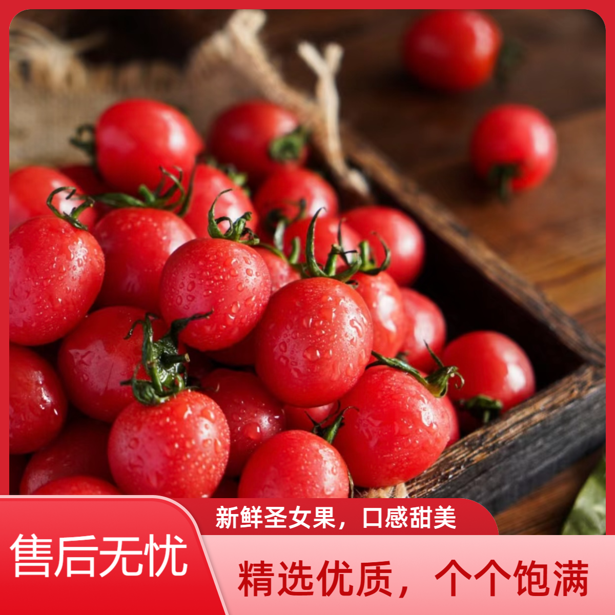 正宗广西百色圣女果新鲜采摘皮薄肉厚爆汁小番茄3/5斤