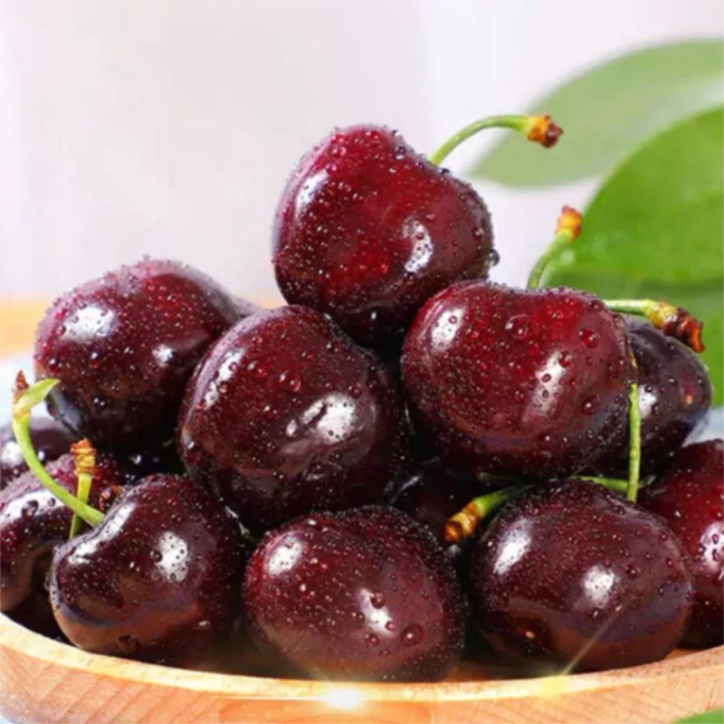 【2J桑提娜】智利空运车厘子净重0.8斤/1.8斤/5斤内附果径卡桑提娜樱桃智利共和国