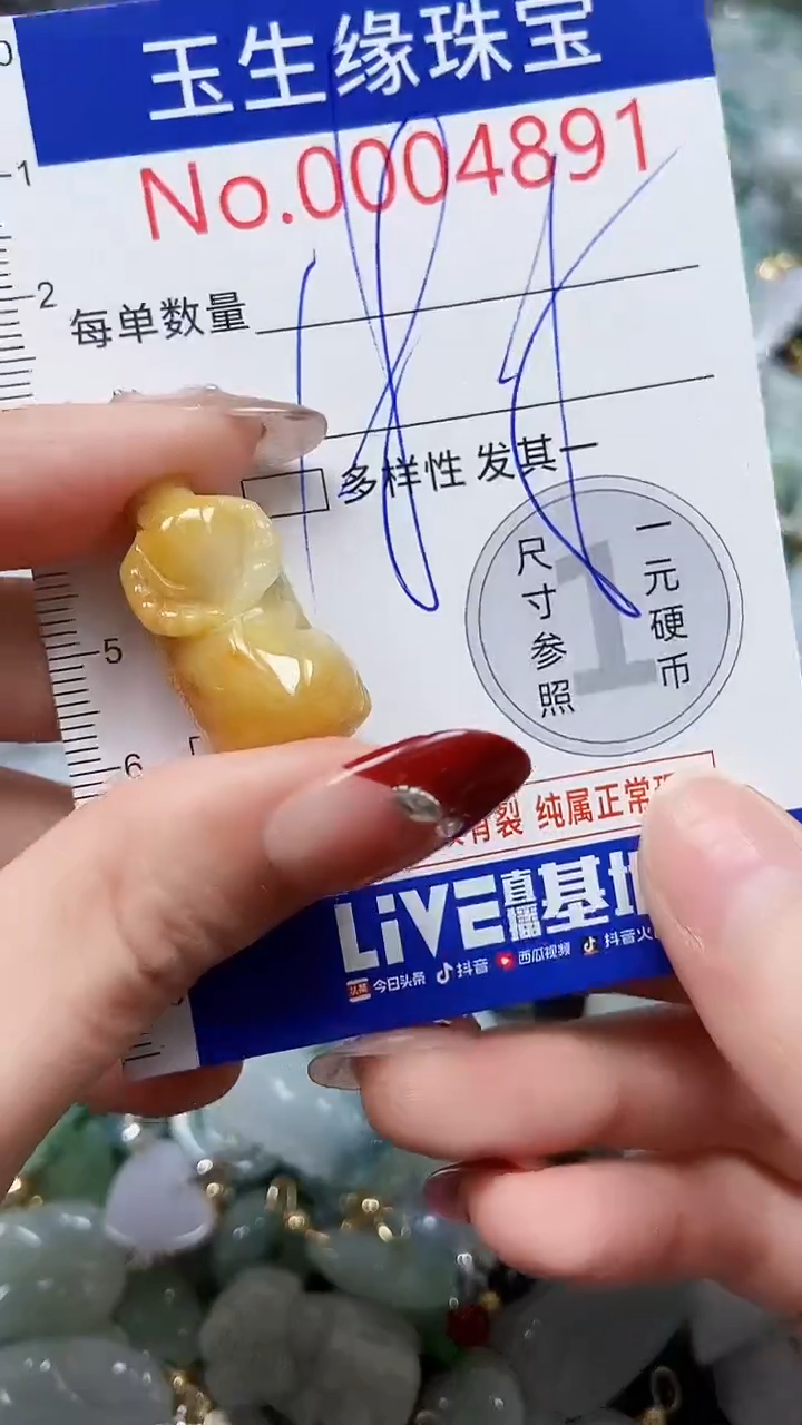 【闪购商品】翡翠颈饰未镶嵌闪购00004891