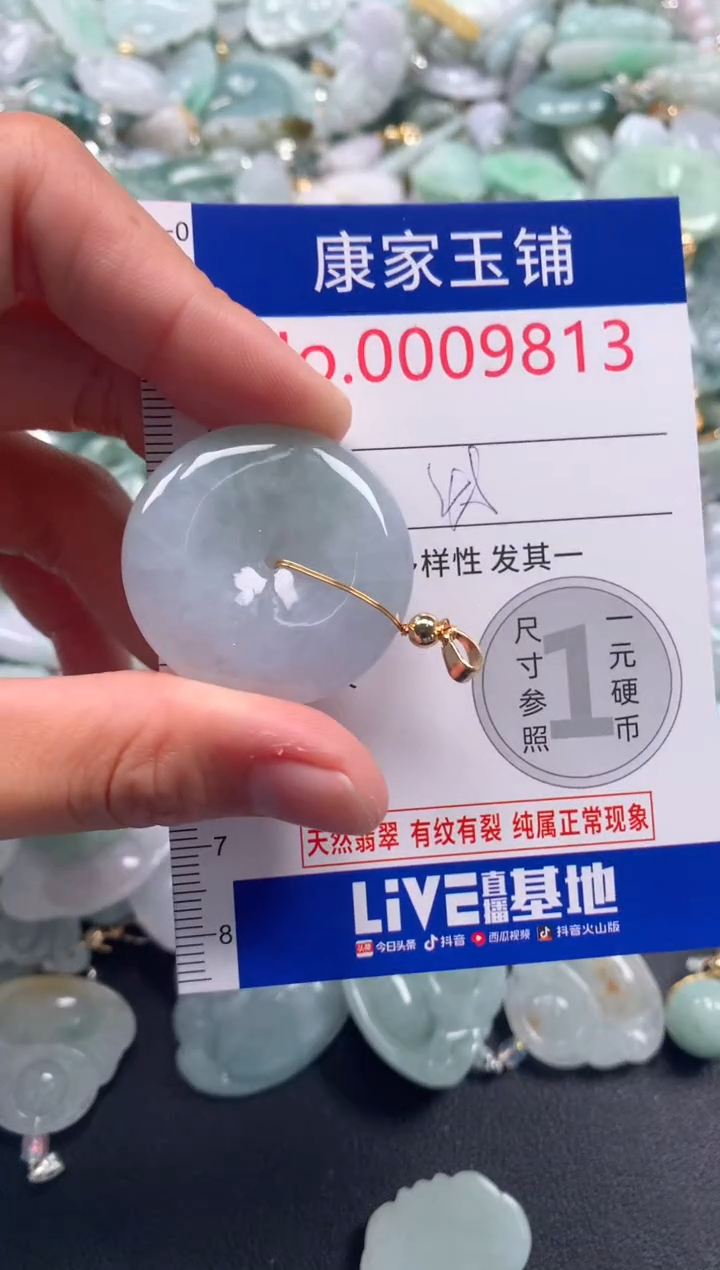 颈饰未镶嵌翡翠9813