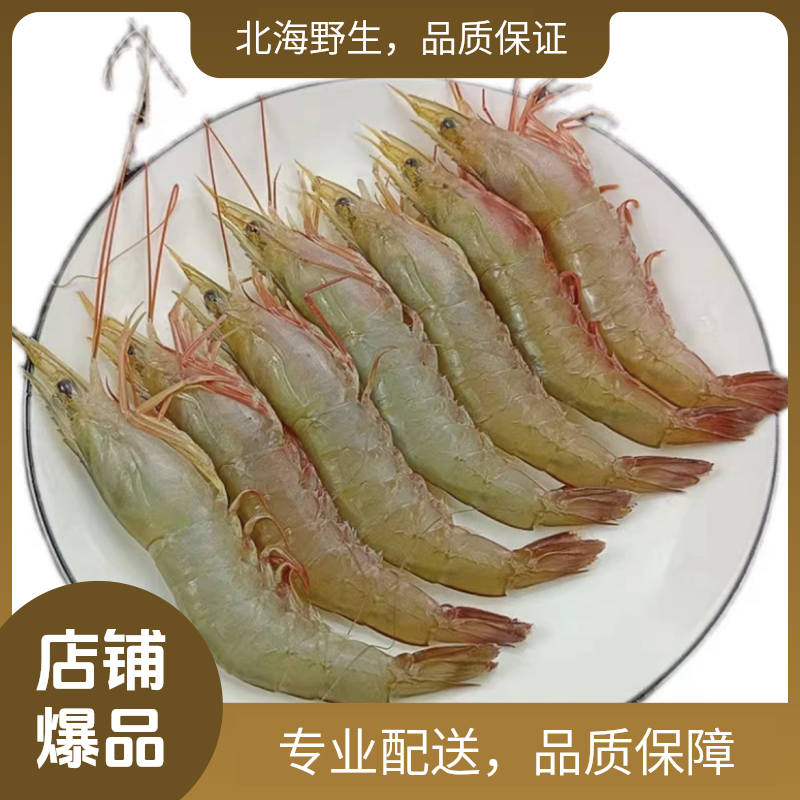 【新鲜麻虾】北海本港野生海捕沙卢虾麻虾【野生虾有大有小】顺丰包邮
