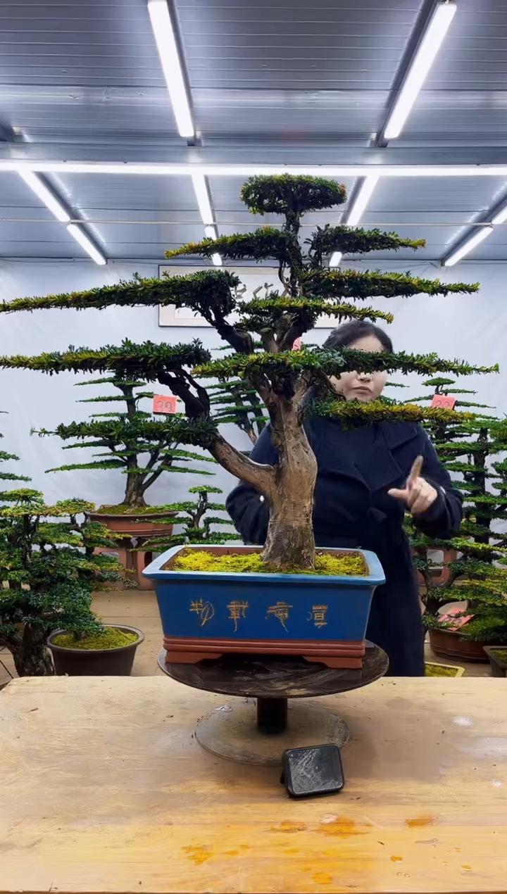 无花朵一物一拍·所见即所得