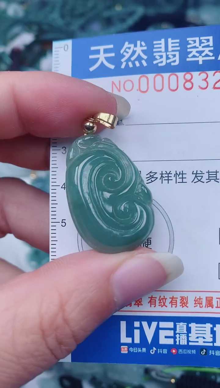 颈饰未镶嵌翡翠00008327