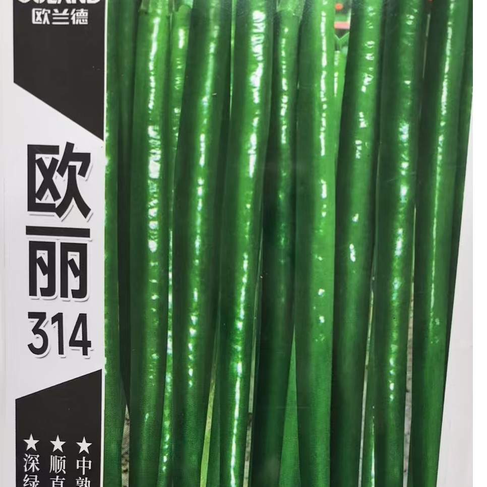 欧丽314辣椒种子，坐果好，叶色深绿，株型直立。连续结果能力好