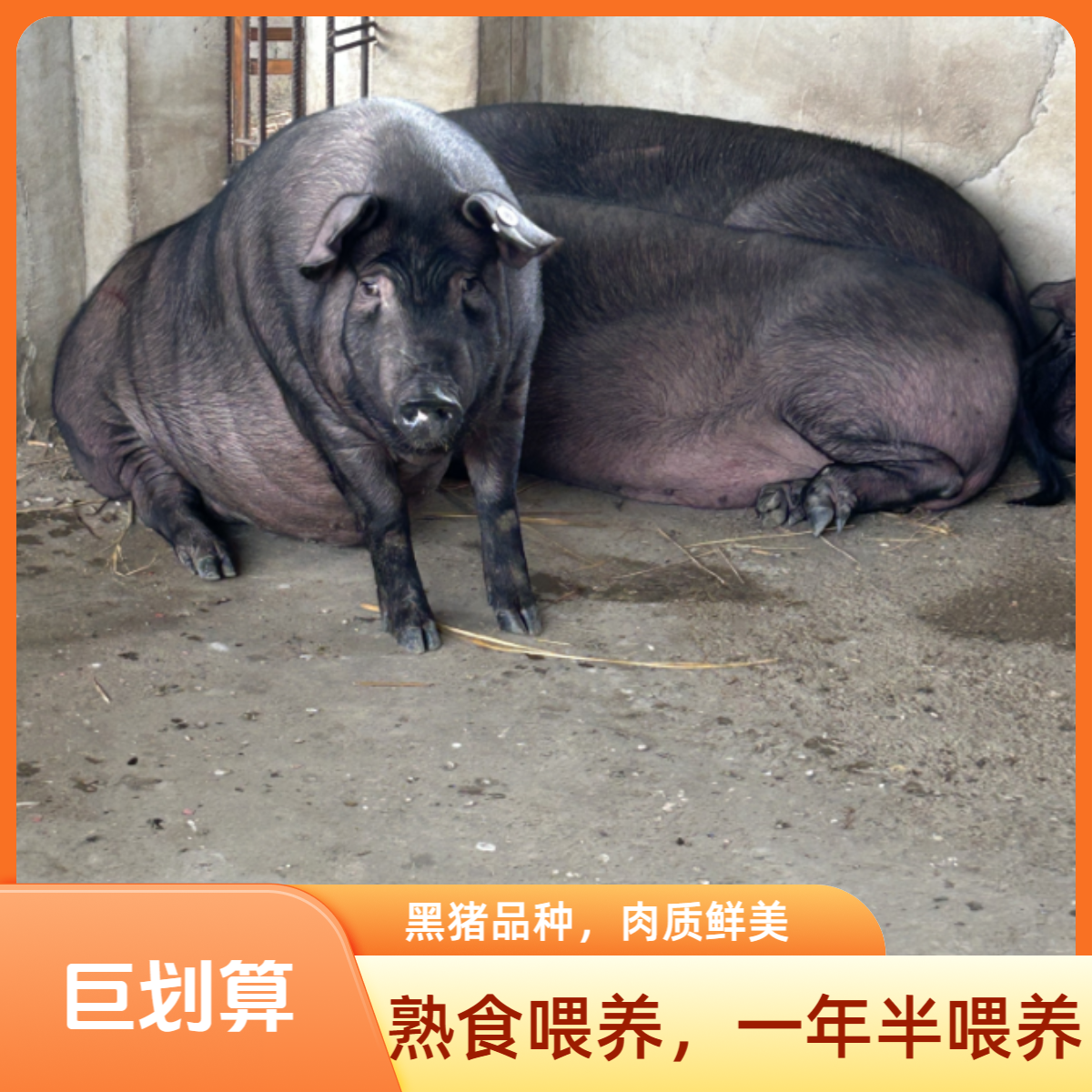 三斤肉（部位随机）