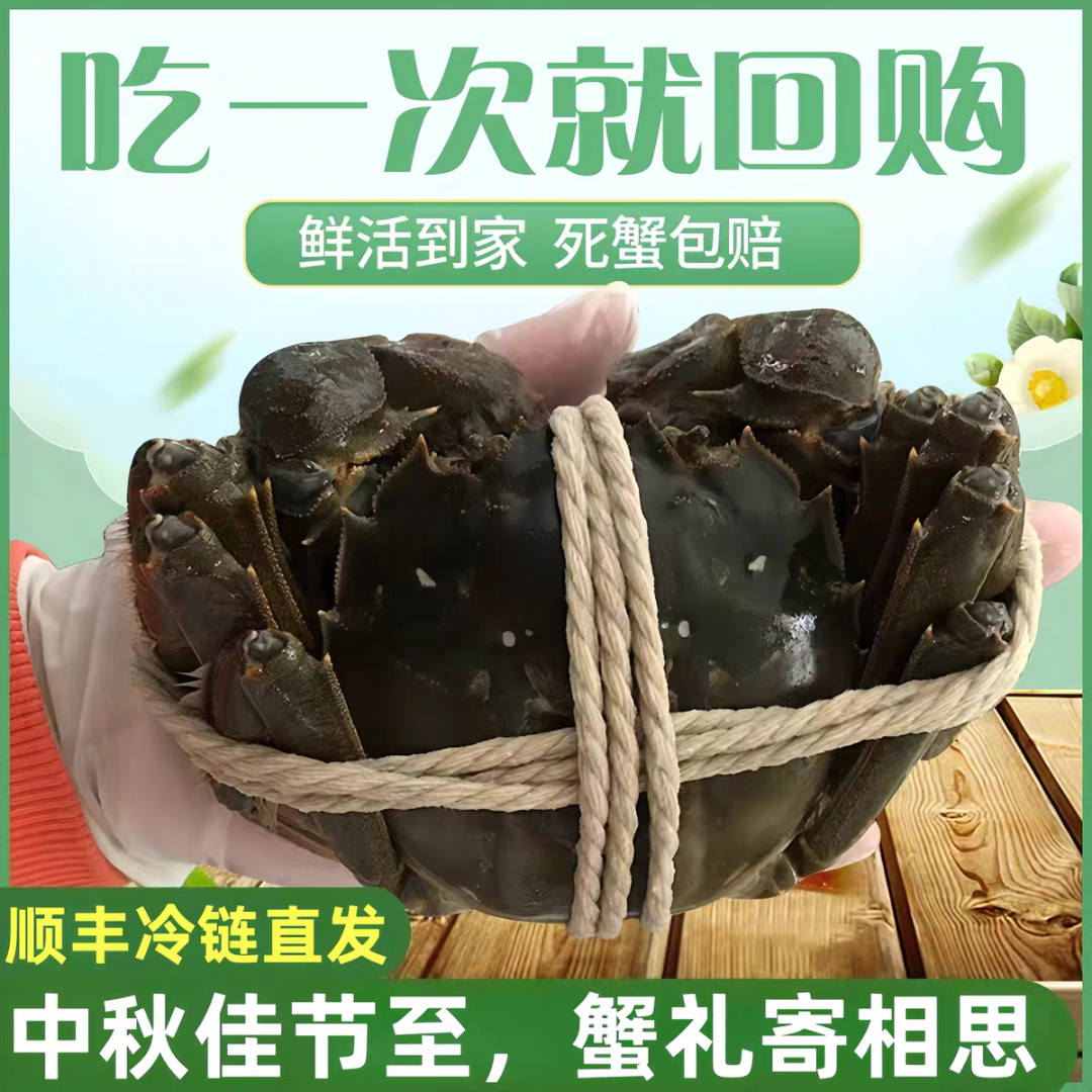 活蟹 -江苏精品河蟹螃蟹新鲜活蟹现捕捞顺丰包邮当日发次日达2.0-1.7两 公蟹4只+母蟹4只