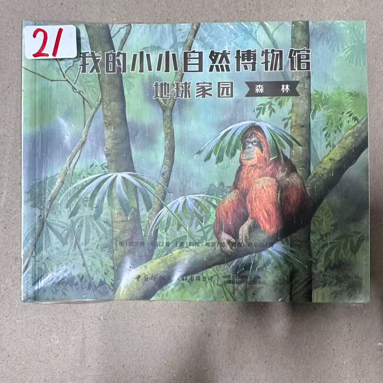 21我的小小自然博物馆八册科普书