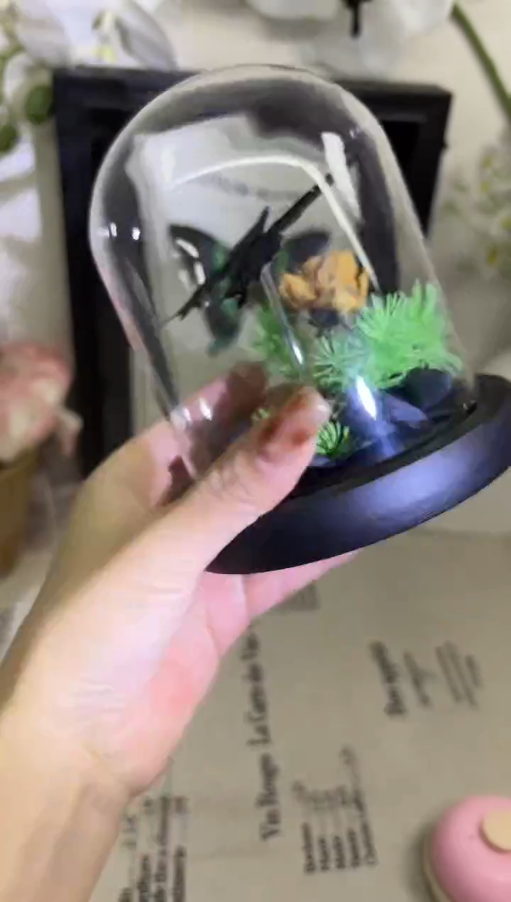 小绿带玻璃球造景