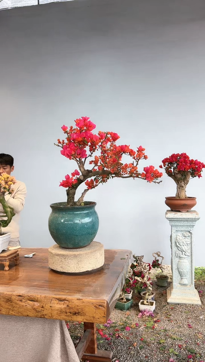 【闪购商品】aa923