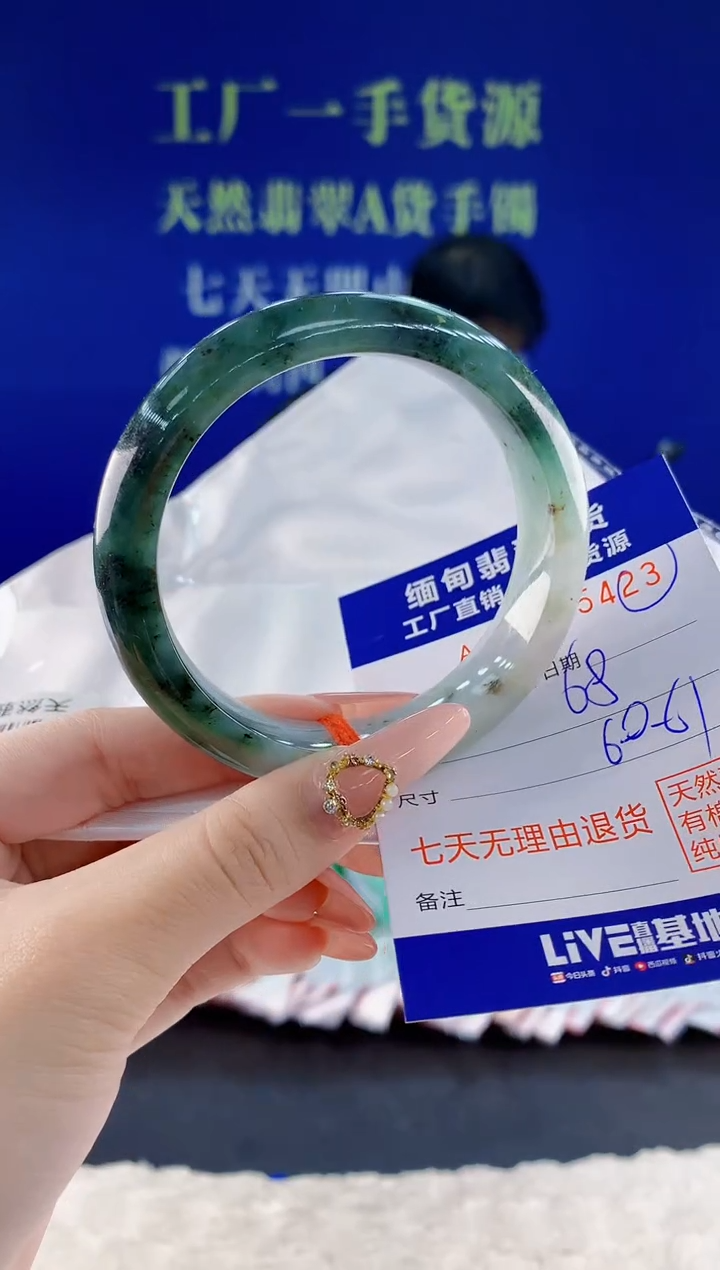 未镶嵌手镯翡翠23
