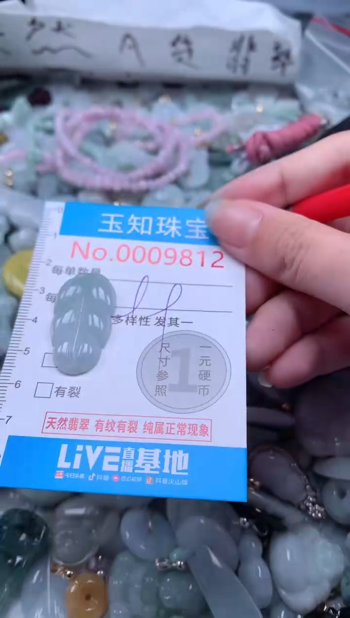 翡翠未镶嵌吊坠(不含链)9812